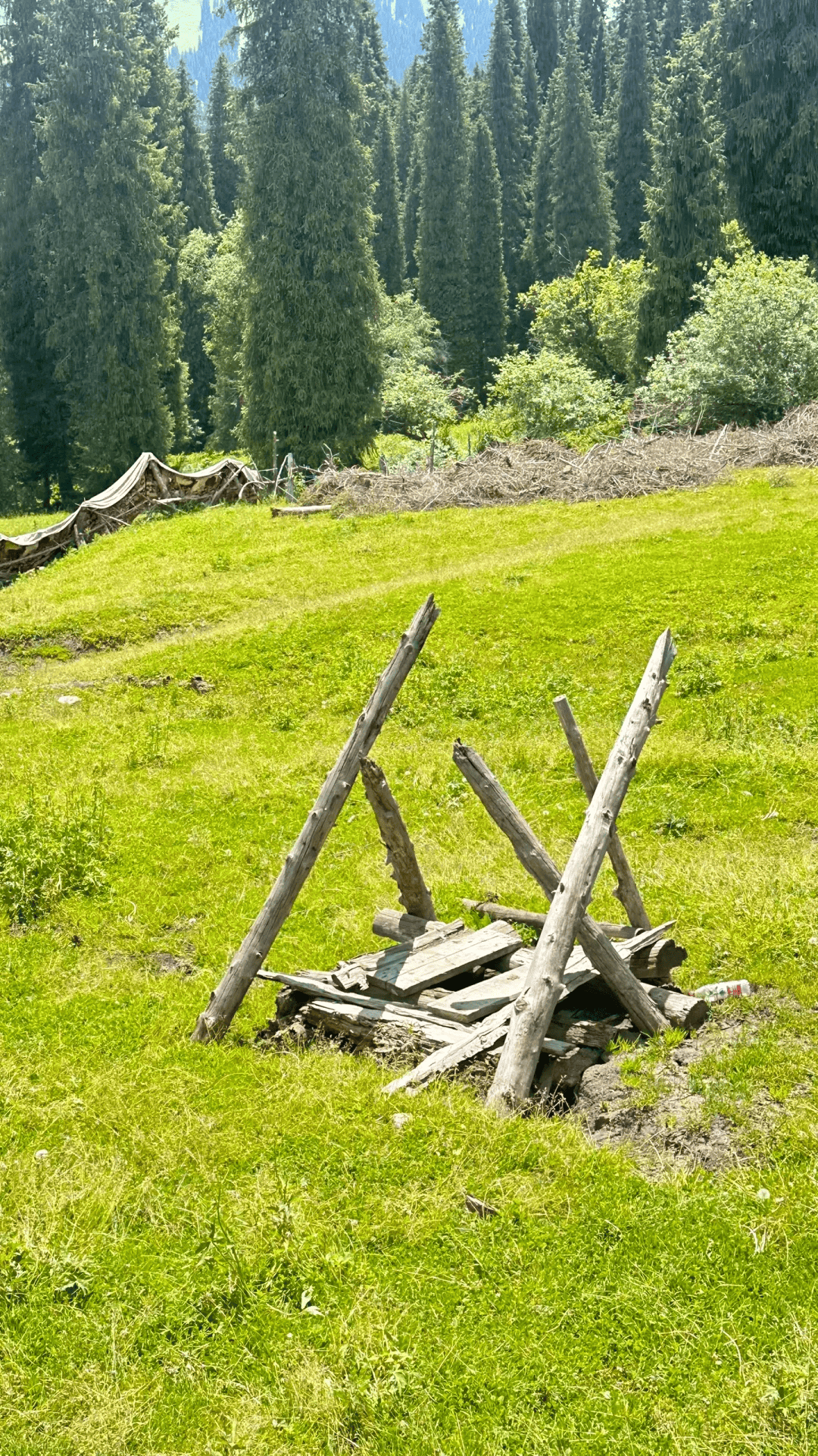 新疆野厕火爆全网!没有设计,都是风味!网友:它会惩罚每一个屎王!