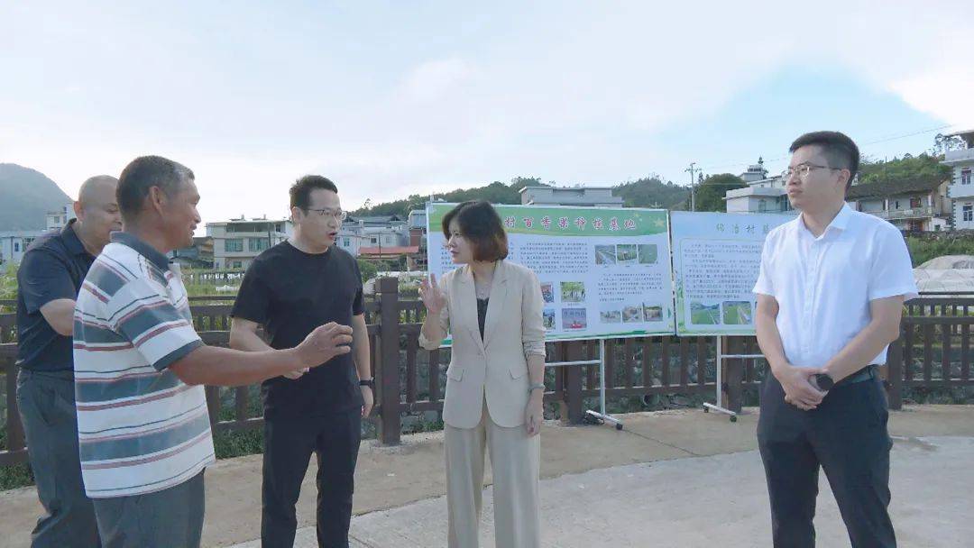 华安县县长调研乡村产业