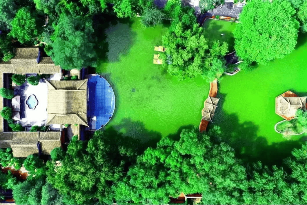 "酷热来临·夏游清凉"线路第三弹——寻巷民俗游_临夏_用餐_八坊
