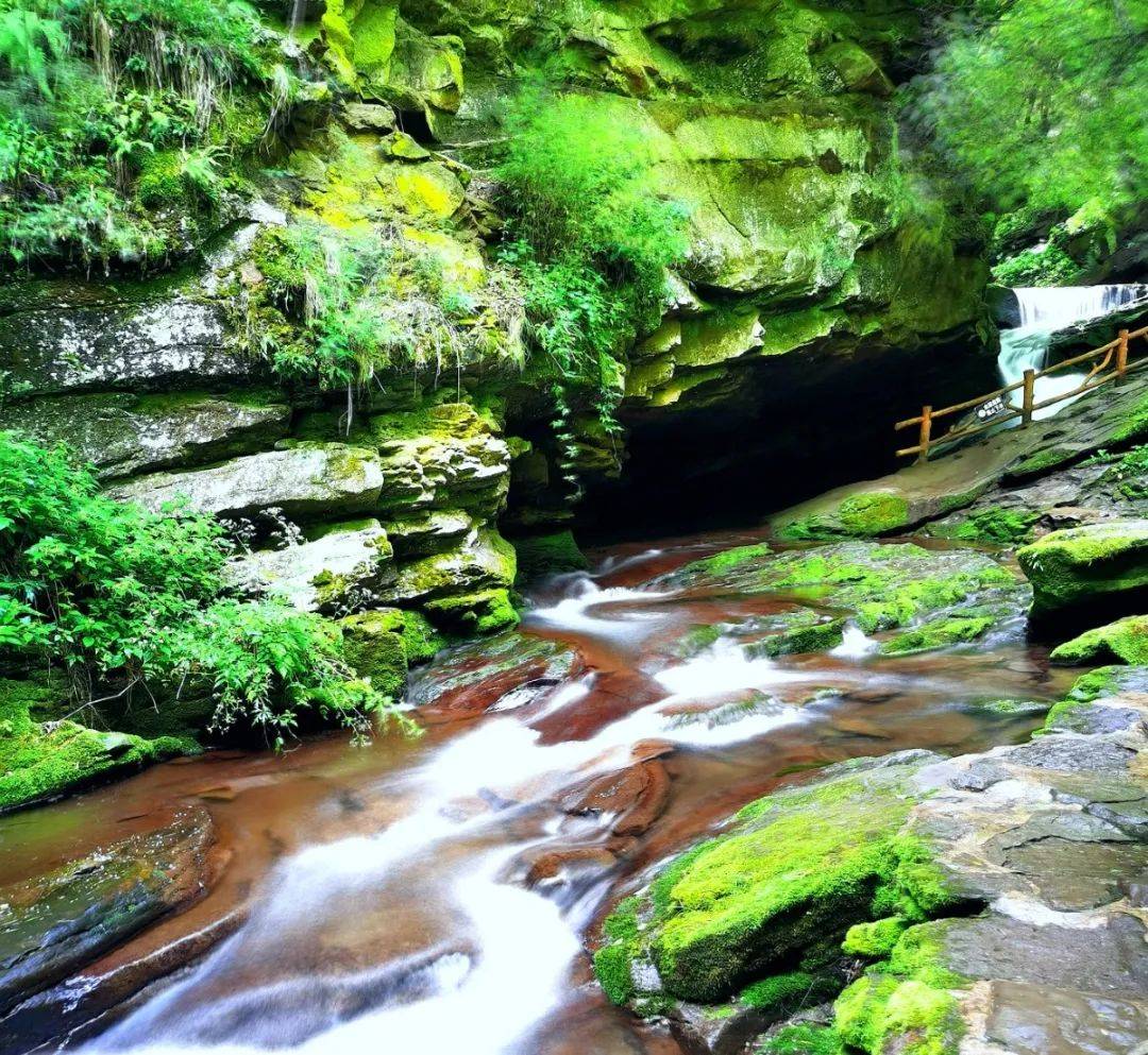 恢复开园,六盘山国家森林公园小南川景点已开园,还有这些优惠政策请