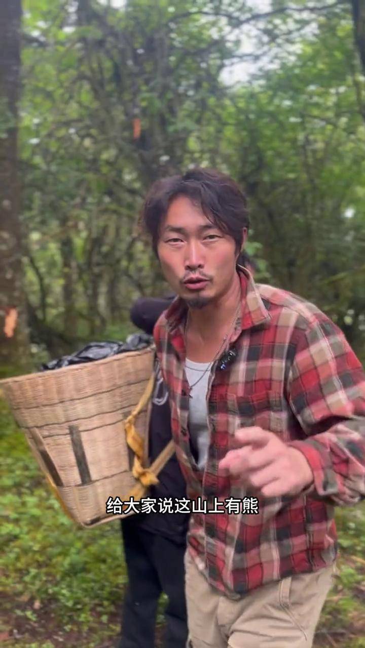真正雪山下高海拔无农残的野菊花,夏天喝起来太安逸了#阿布的若丁山