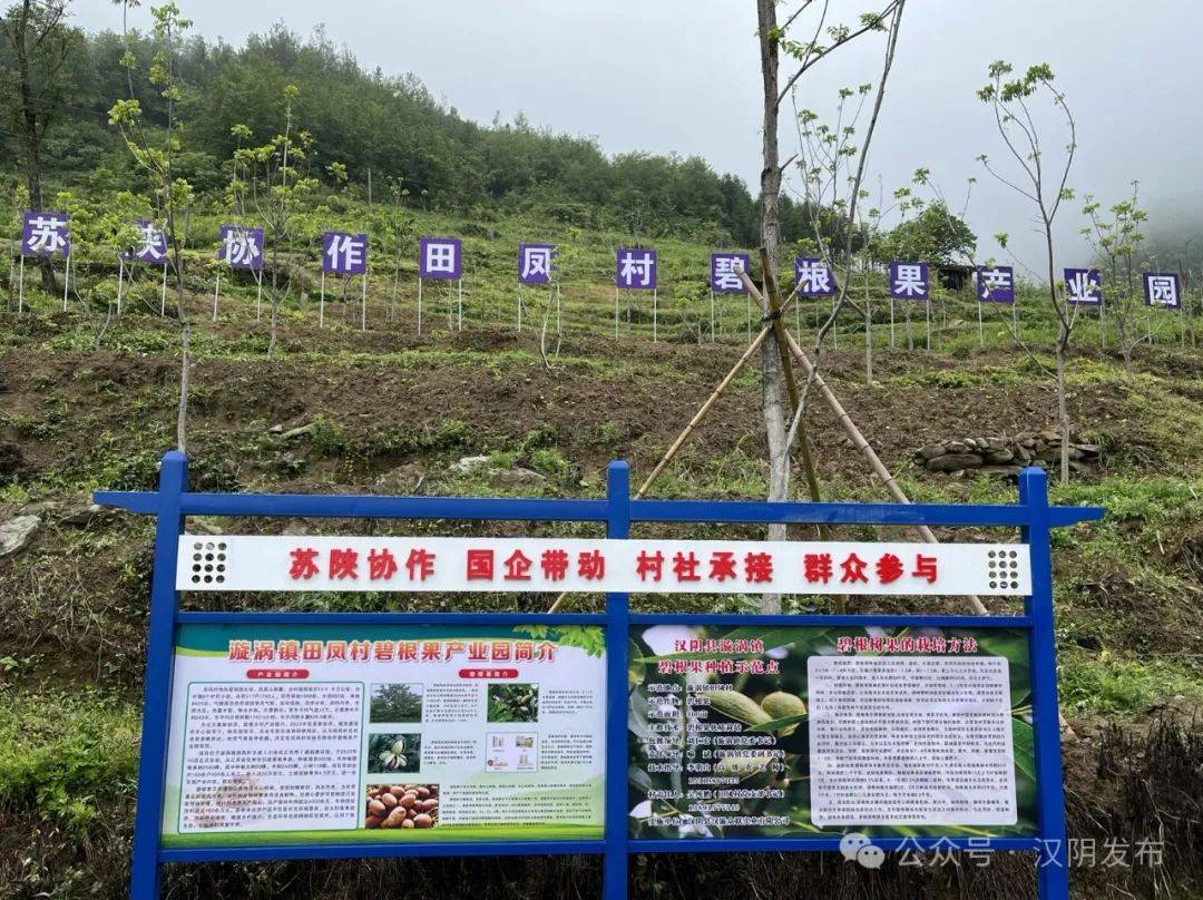 点赞丨汉阴县再获全省苏陕协作考核"好"等次