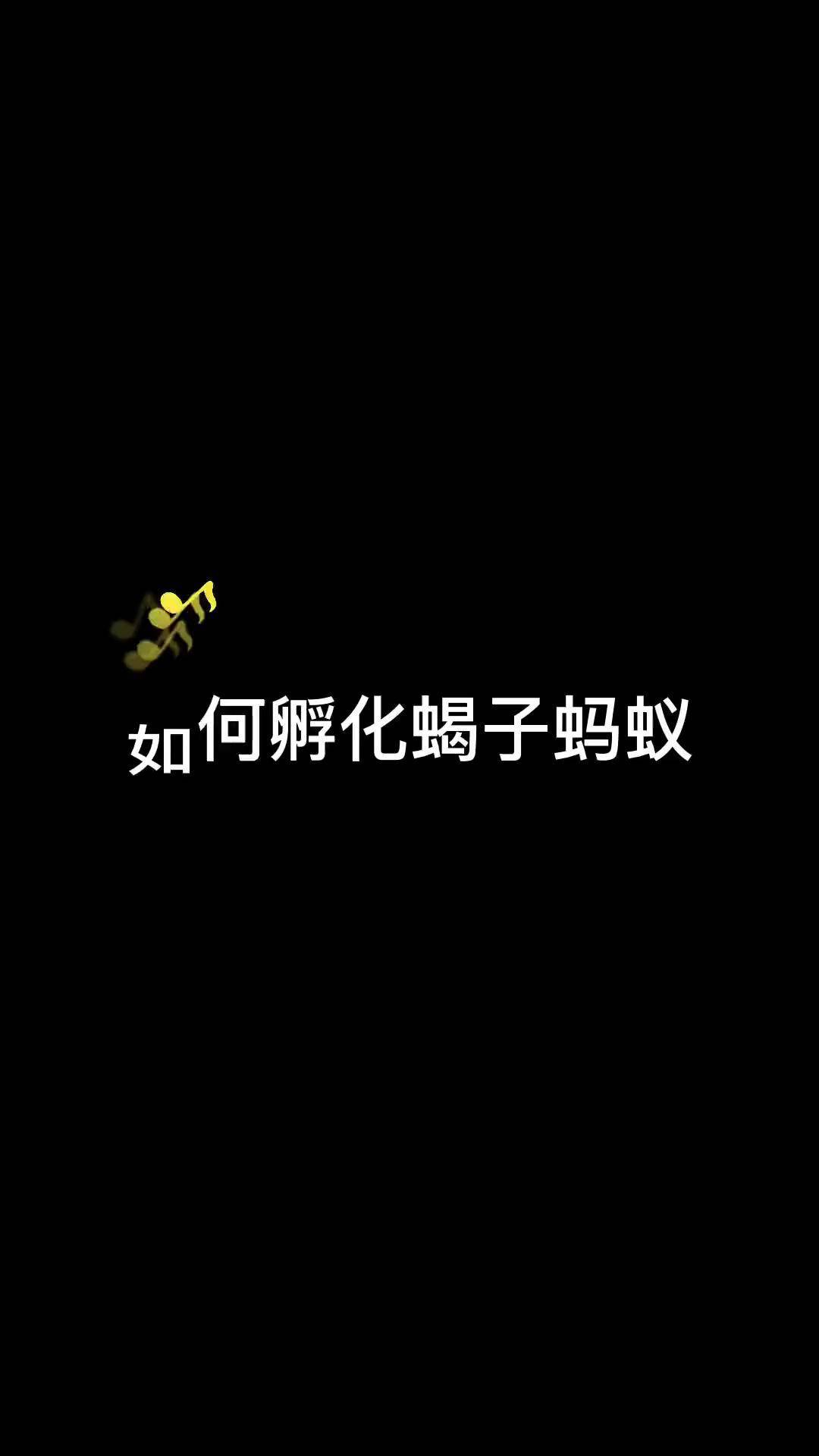摸摸鱼 小小蚁国 教你获得蝎子蚂蚁