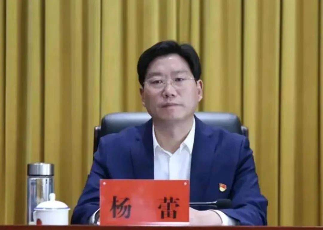 段宇飞、杨蕾被“双开” 3天前还出席会议的沈志定落马