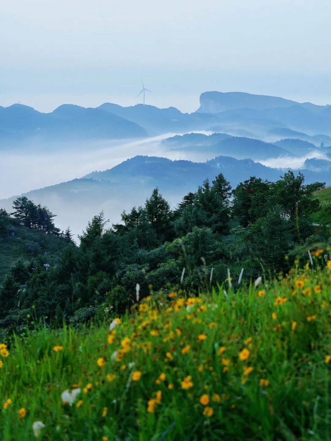 百里荒景区图片