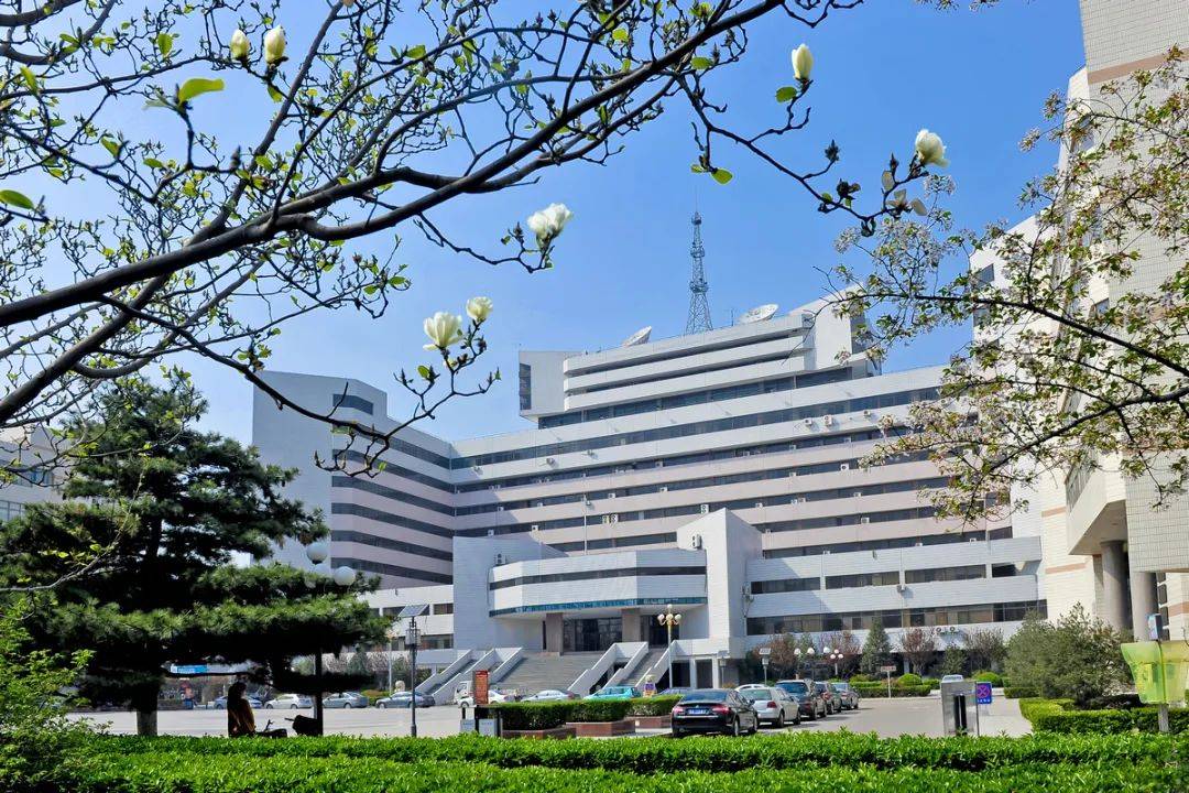 【2024山大新生攻略(3)"游"在山大】:一起来八大校区school walk吧!