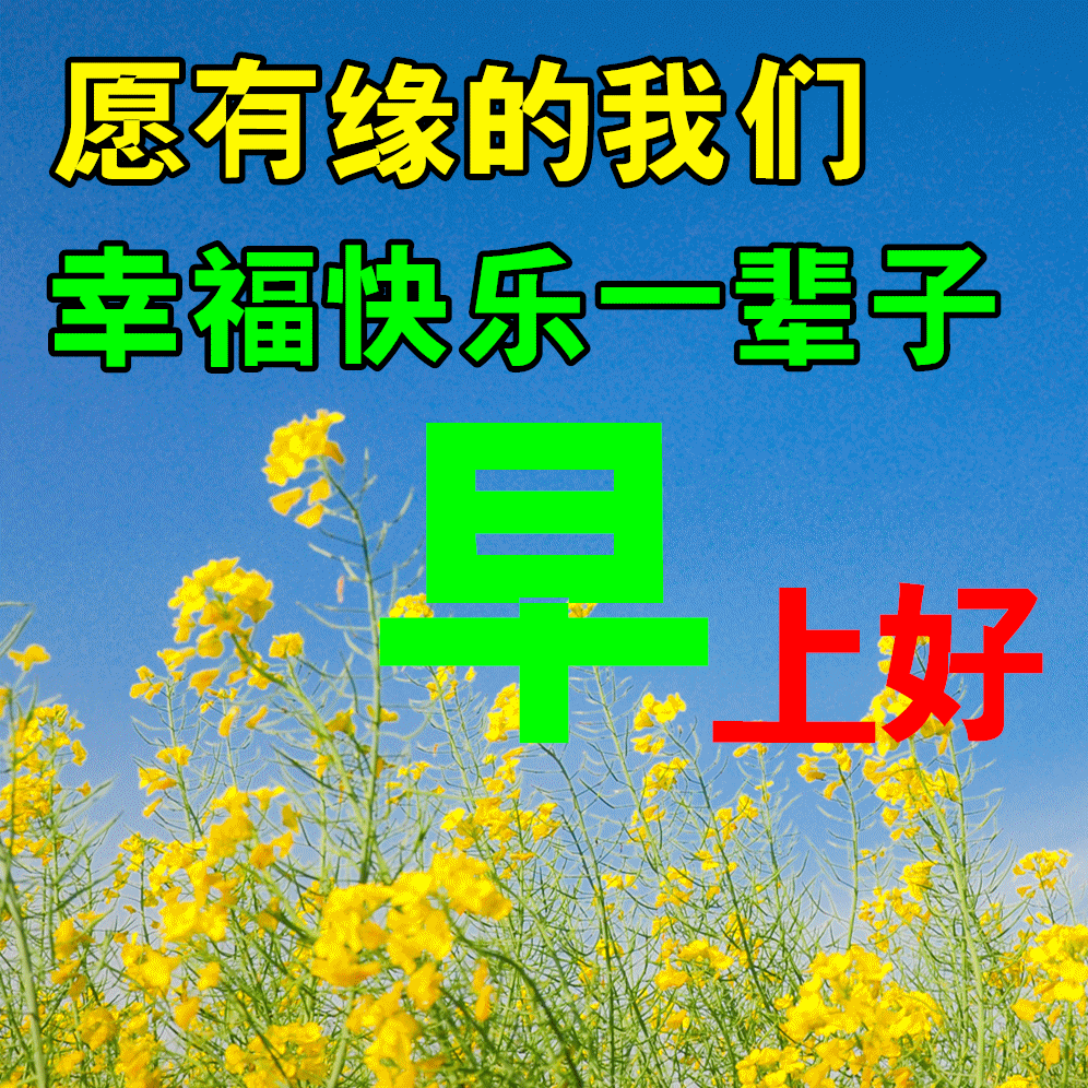 ​8月5日最漂亮早上好动态表情图片及早晨好动图美图大全