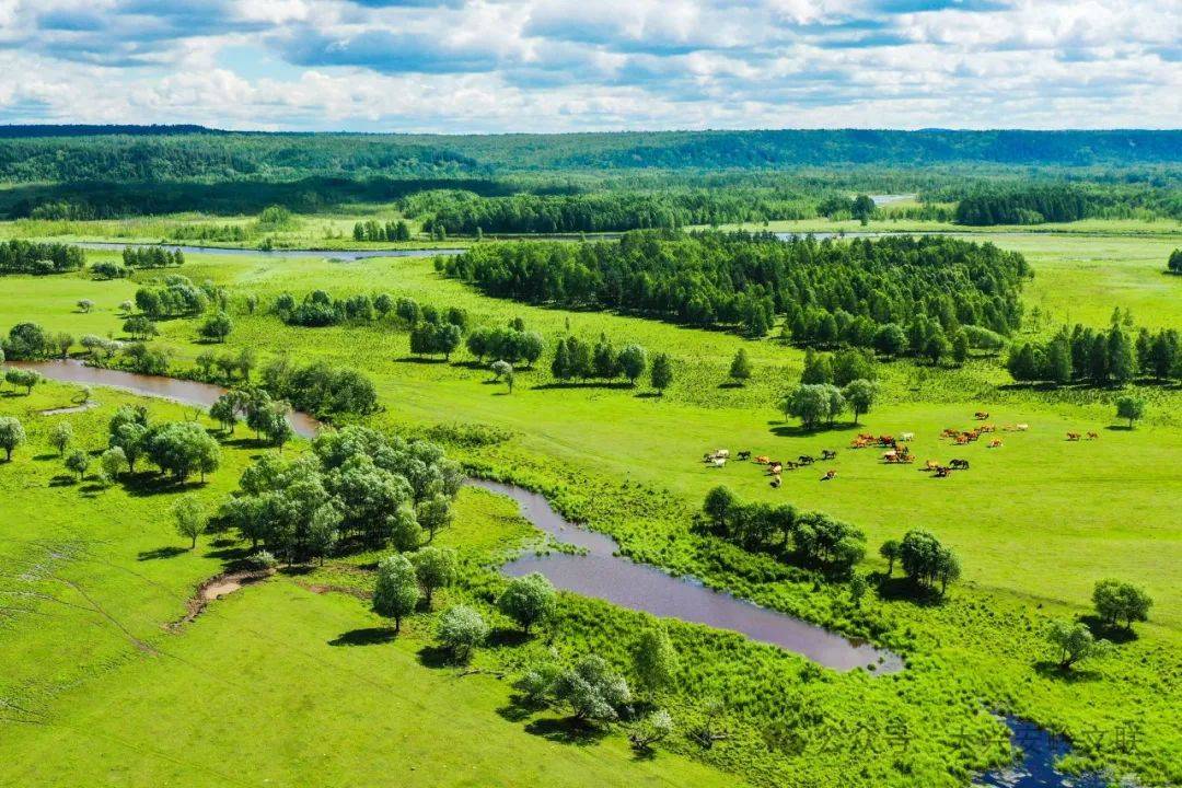 【镜头里的兴安岭】大兴安岭地区自然风光摄影展之漫步兴安(二)