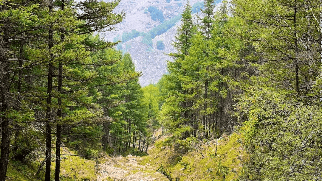 两小时到达保定伊犁风景区,享受心灵之旅