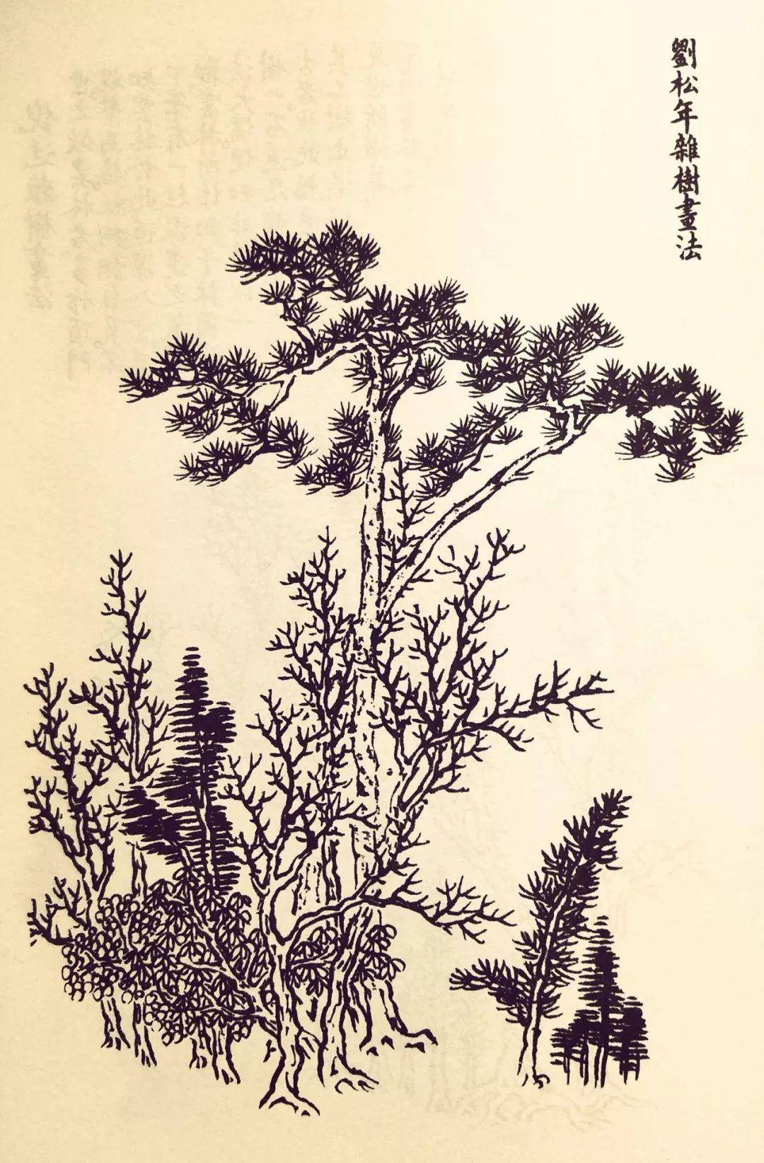 芥子园树谱高清欣赏,经典临摹素材