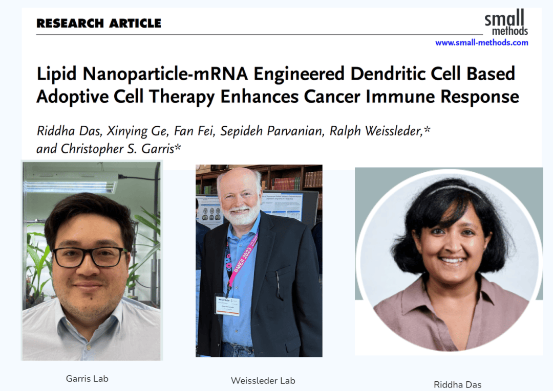 methods发表文章:lipid nanoparticle