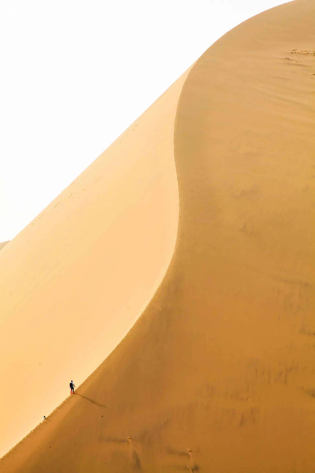 ▼《孤影》,摄影师秦浩▼《孤影》,摄影师秦浩▼《孤影》,摄影师秦浩