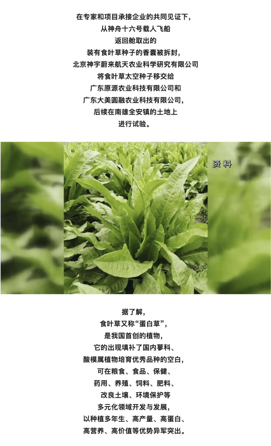 南雄市举行神舟十六号载人飞船搭载食叶草种子拆封交接仪式!
