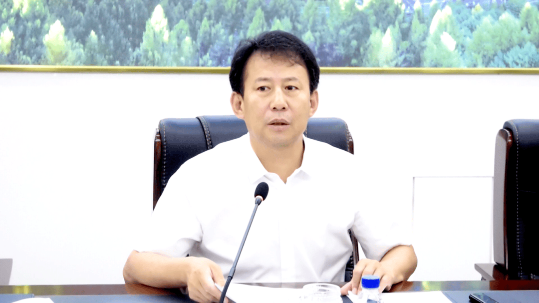 戴存鹤主持召开2024年第十三次县委常委(扩大)会议_通化县_整改_检查