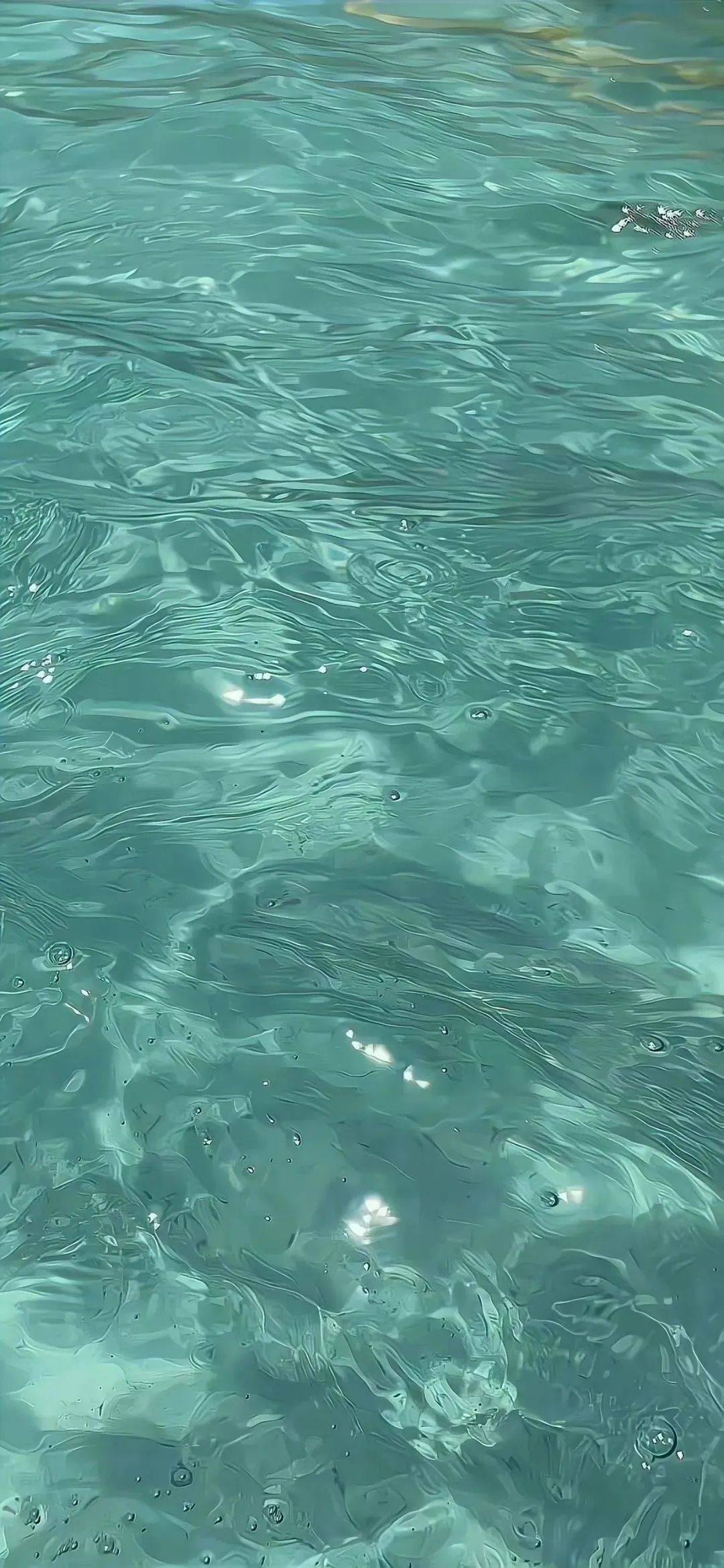 专题壁纸 | 薄荷曼波系壁纸