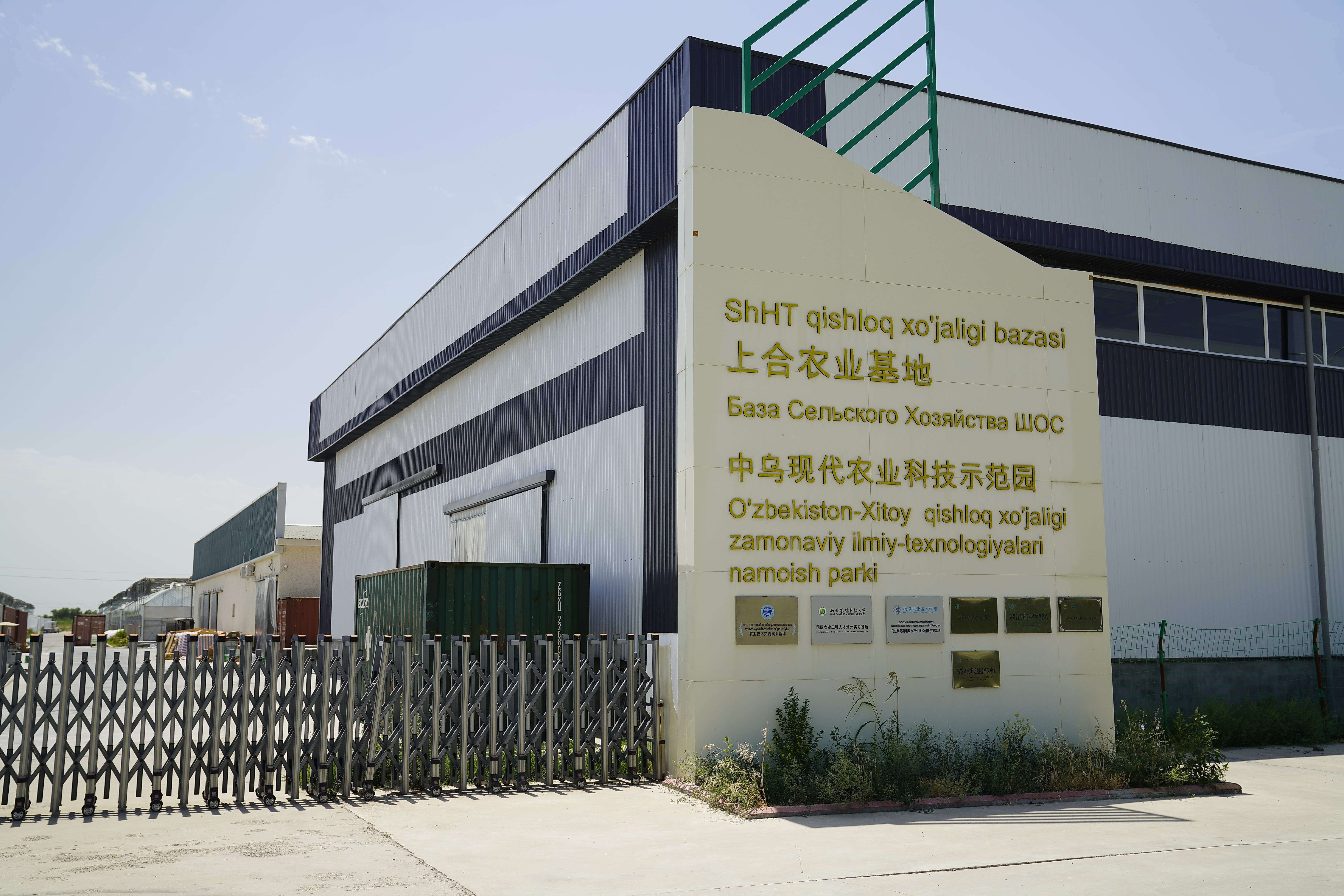 务实耕耘 共同发展——探访乌兹别克斯坦上合组织农业基地中乌现代