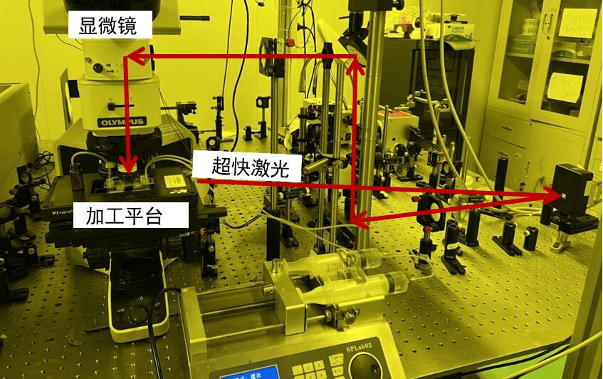 微型机器人工作原理图片