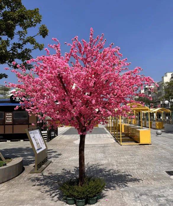 寄托美好憧憬让市民游客亲手写下心愿挂于树上还设置桃花许愿树供市民