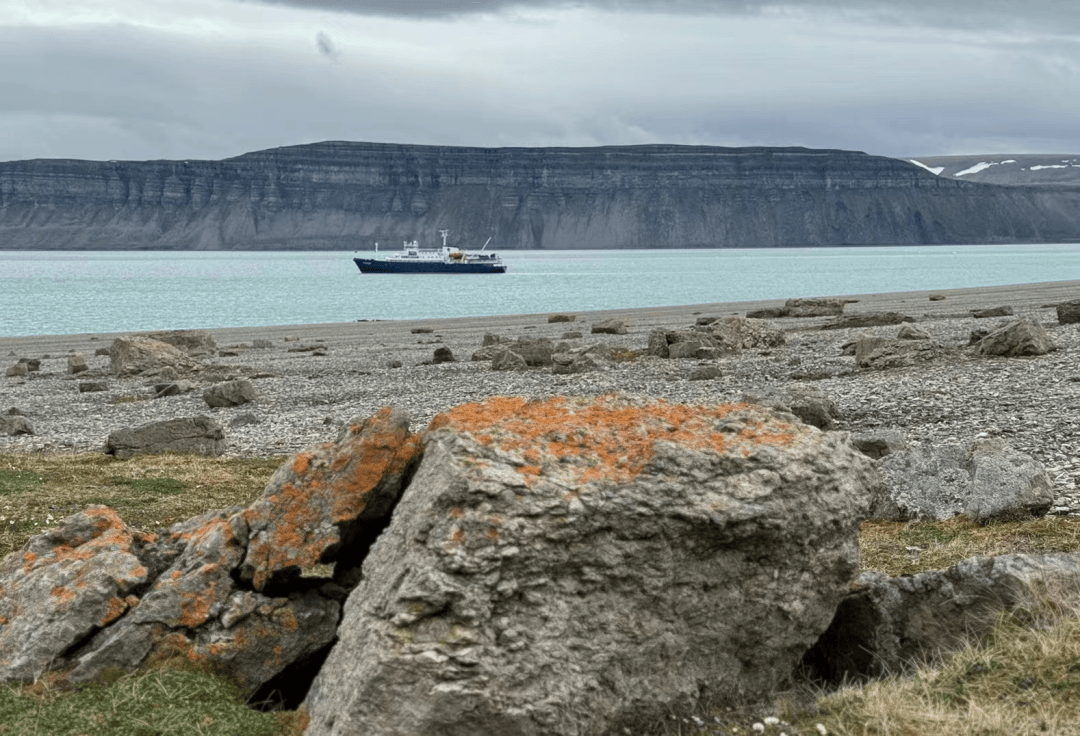 北极之旅,行行摄摄 (二):踏流冰,触冰雪,叩拜海洋动物,"冰原王者"北极