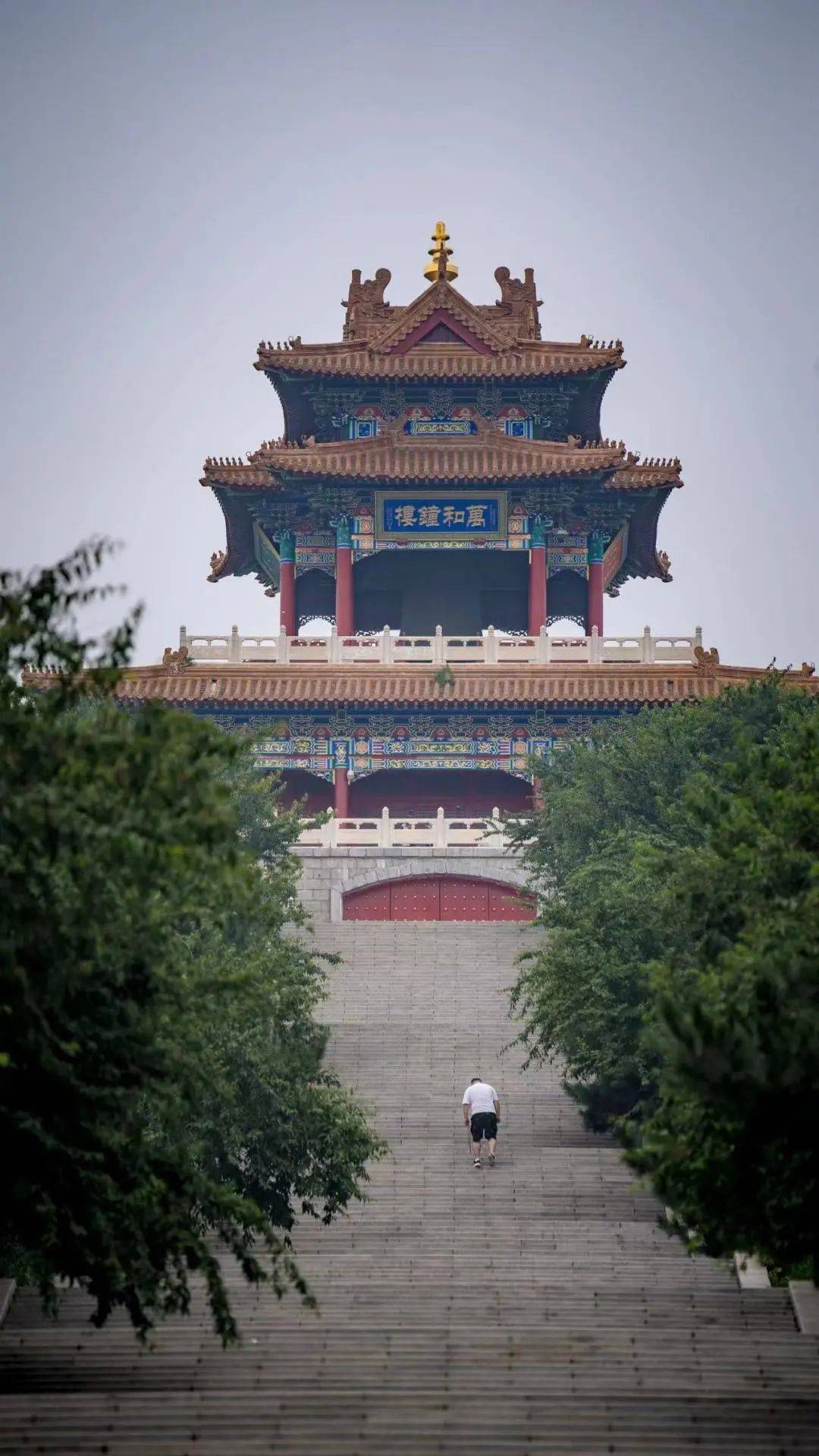 我们一起徒步于辽阳的山林间~_周祉旭_龙鼎山_城市