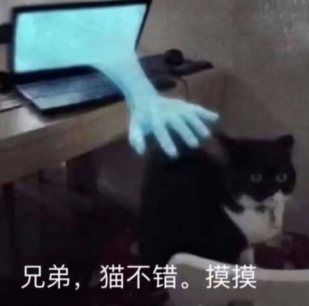 头像表情包289