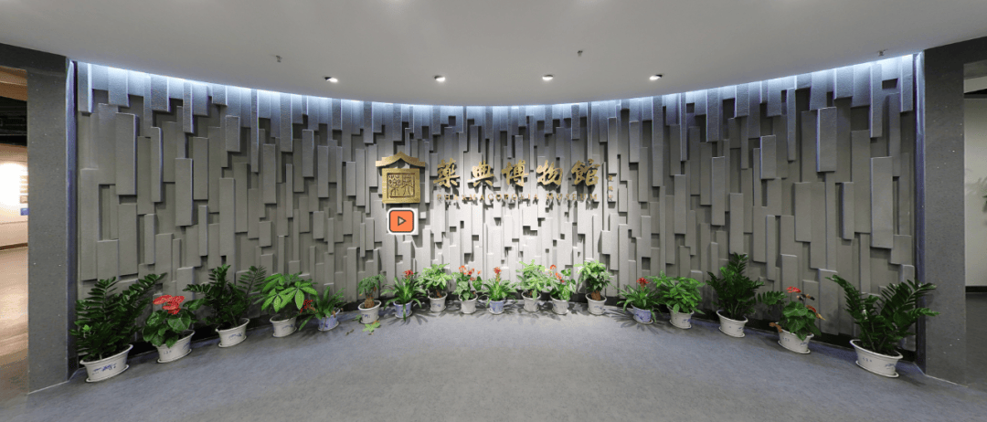 枣庄那些适合citywalk的博物馆!