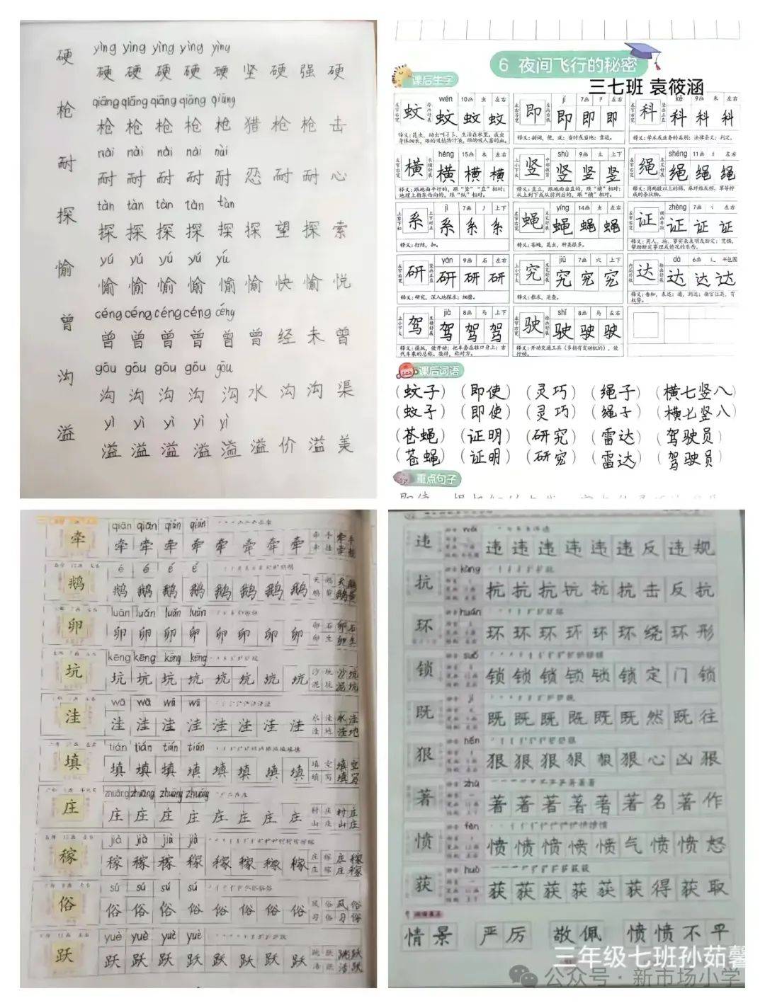 新市场小学教育集团三年级语文暑假作业阶段性展示来啦