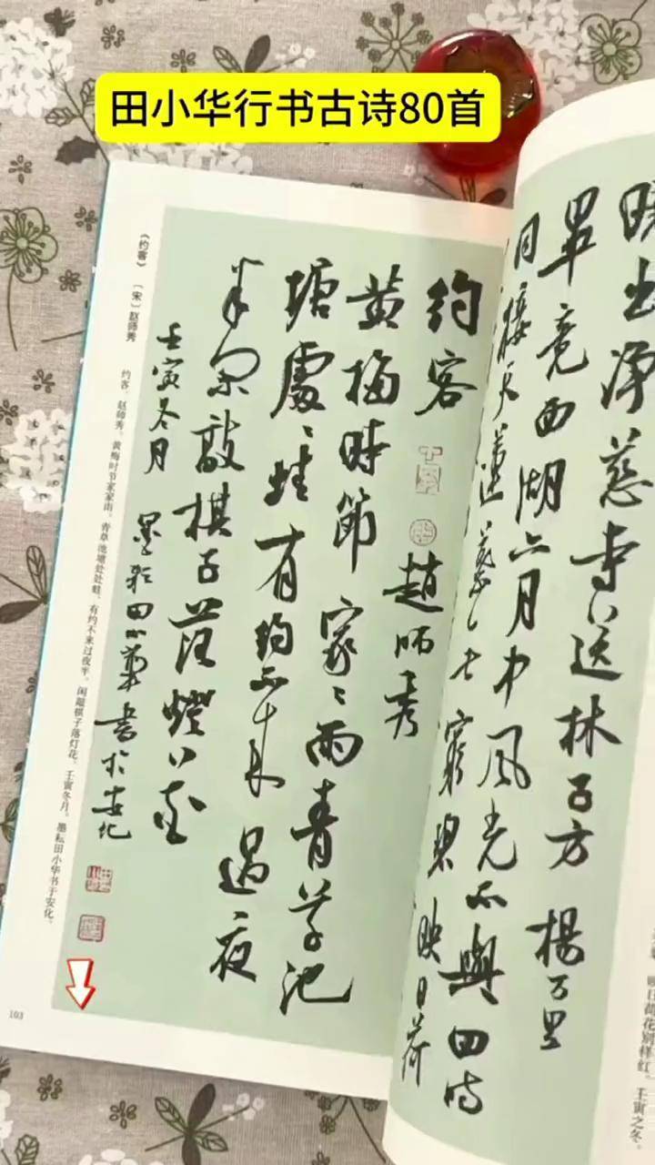 田小华行书古诗八十首 米芾书风 田小华 行书