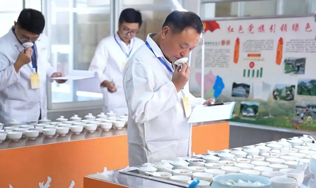 两岸民间美人茶斗茶赛圆满完成,美人茶王已出炉!_茶厂_大田_闽台