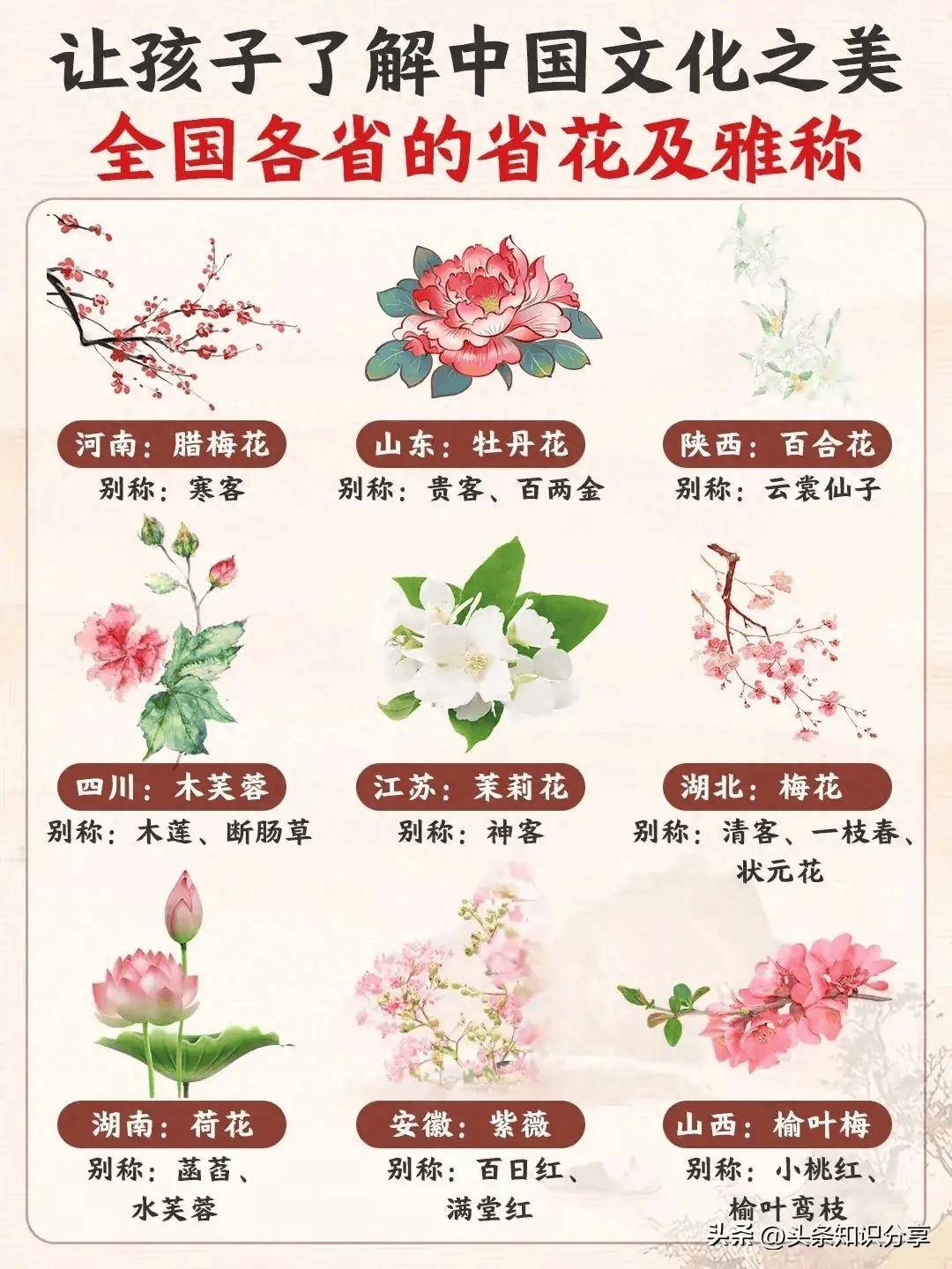 全国各省的省花及雅称!