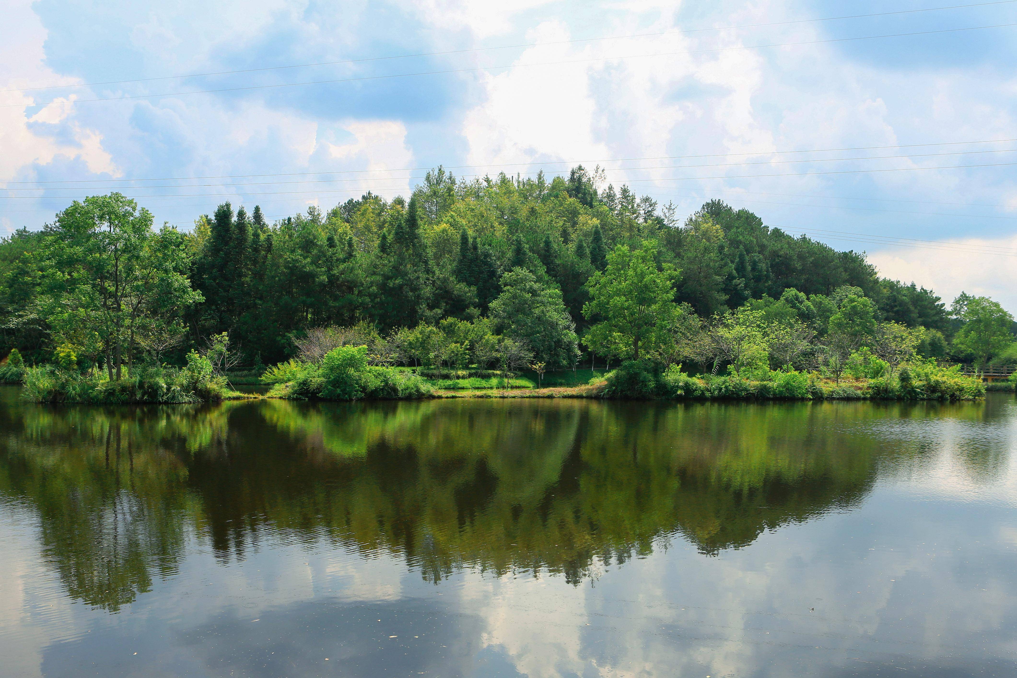 新华社记者 陈为 摄8月11日在福建省龙岩市长汀县拍摄的汀江两岸景色