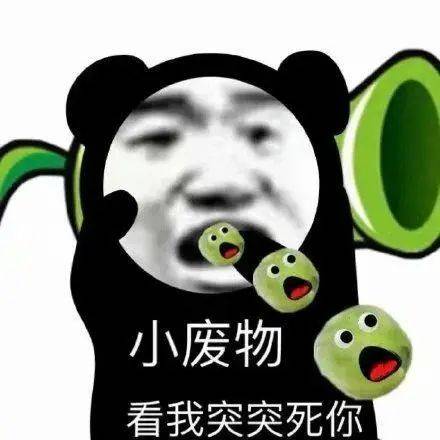 笑死人不偿命的熊猫头表情包