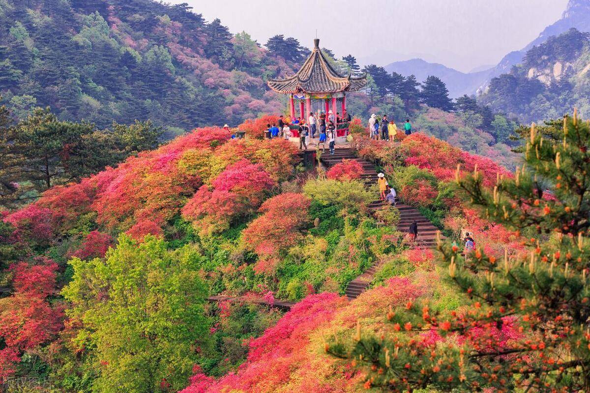 走进麻城,探索那些令人心驰神往的旅游胜地