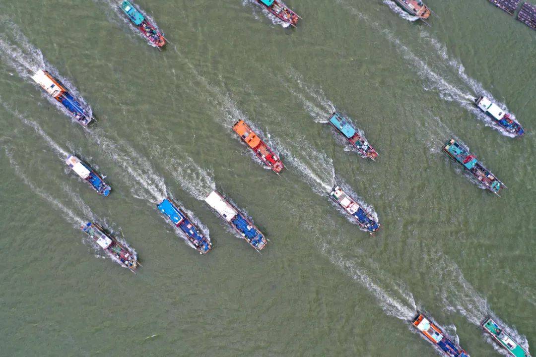 台山人的"海鲜自由"来了!就在.