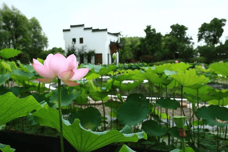 玩转宝山15大景点 只需这一票