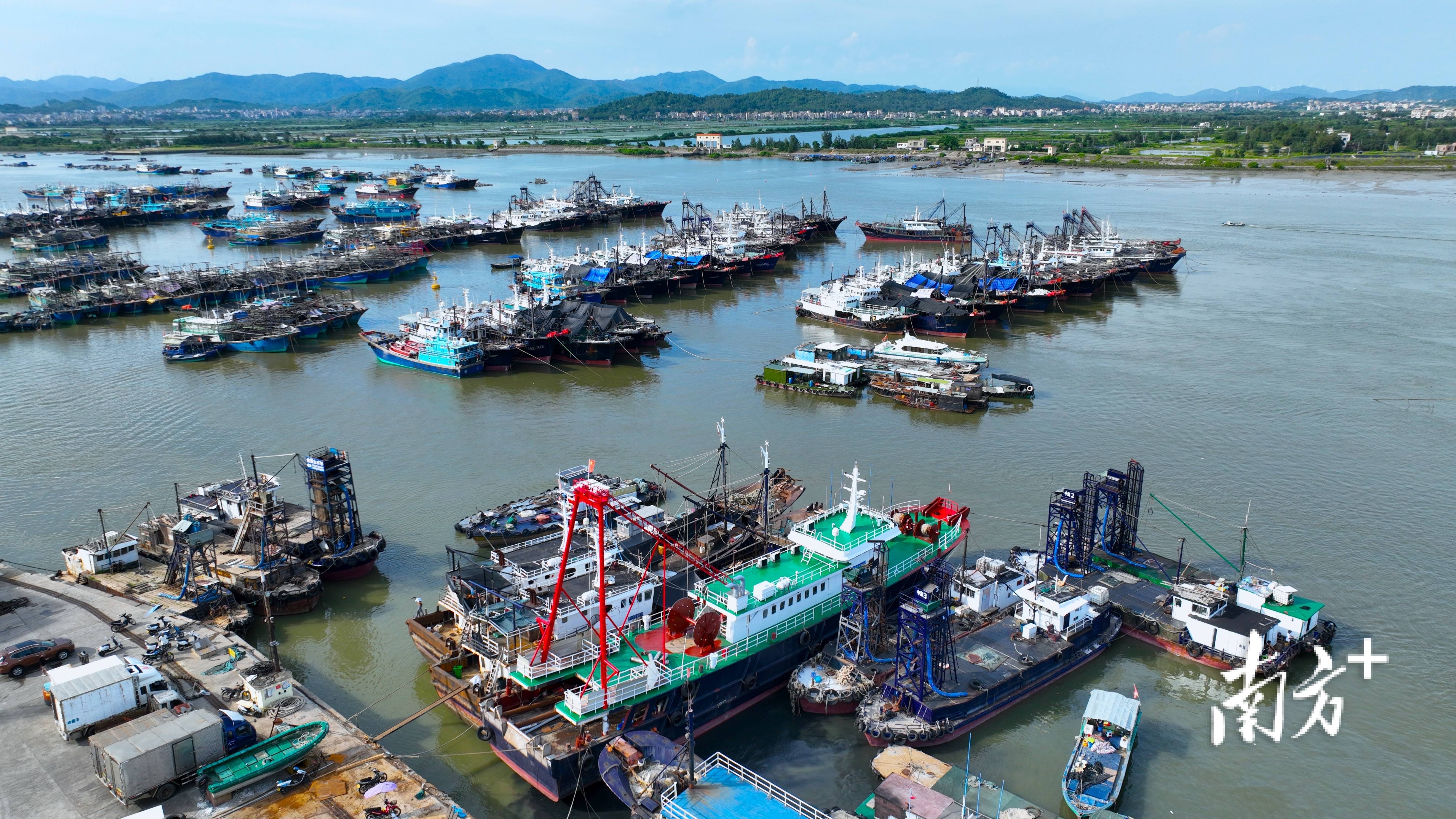 博贺港开渔前瞻:千年古港,乘"新"出海_渔港_经济区_茂名