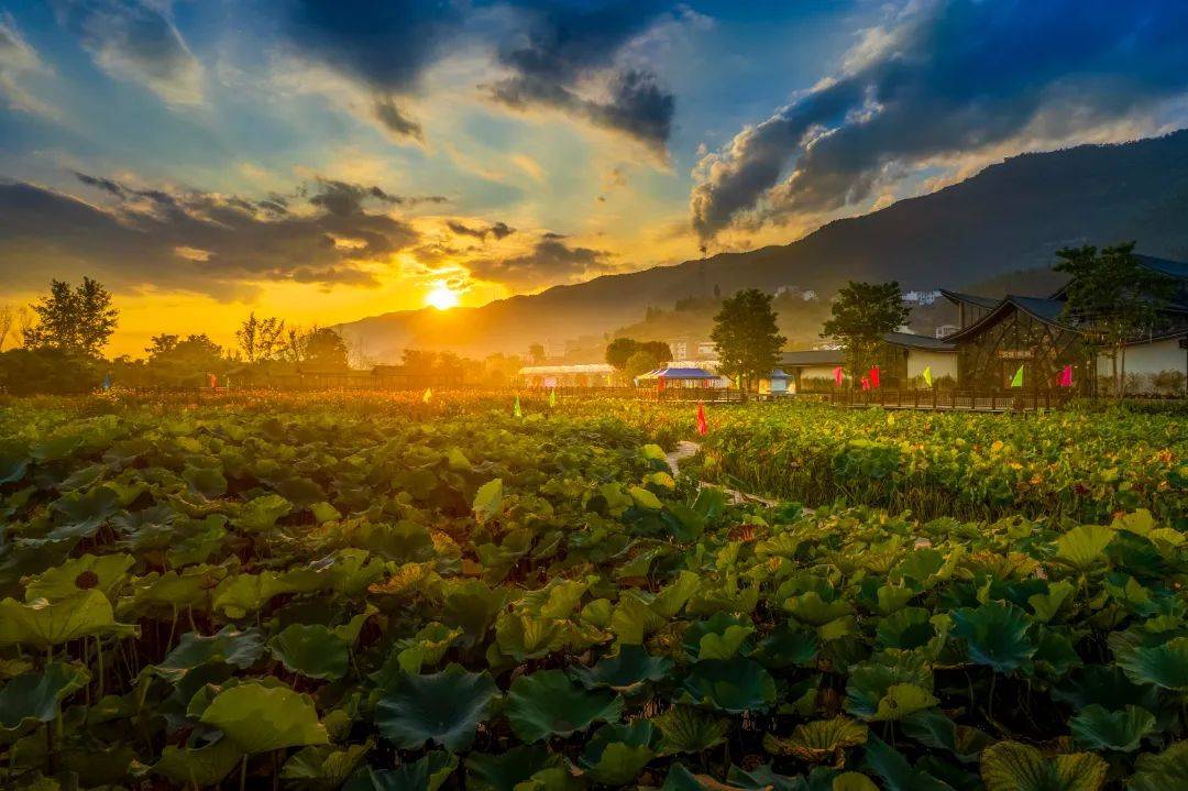 开州这些各具特色的a级景区,你去过几个?_国家_景点_旅游