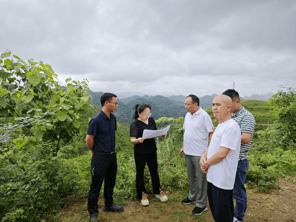 昌明镇:光伏项目建设"火热"推进