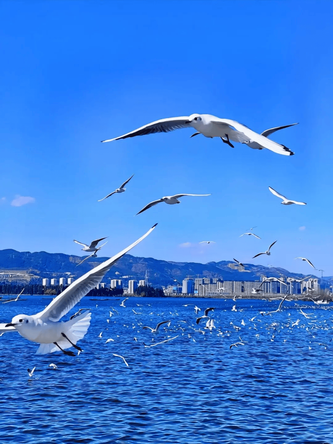 大理风景区真实图片图片