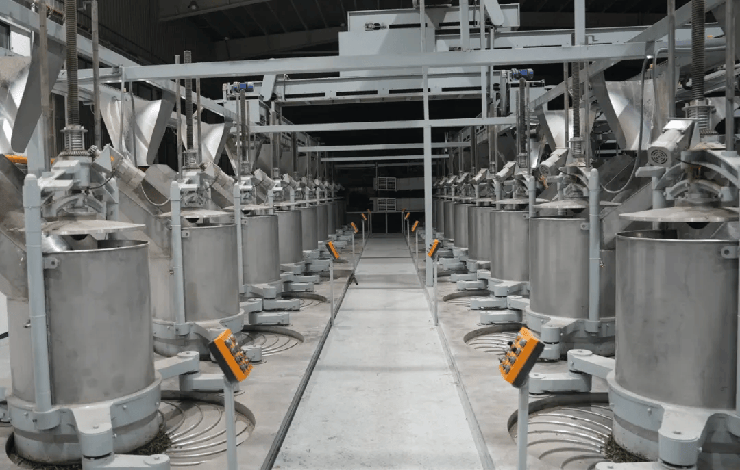 筠连"超级工厂"投产,你喝的奶茶原料可能来自这里!