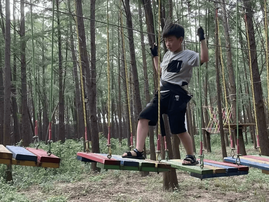 五育并举暑假行77丨扬州市梅岭小学西区校:乐享"梅"好夏日 争章"暑"