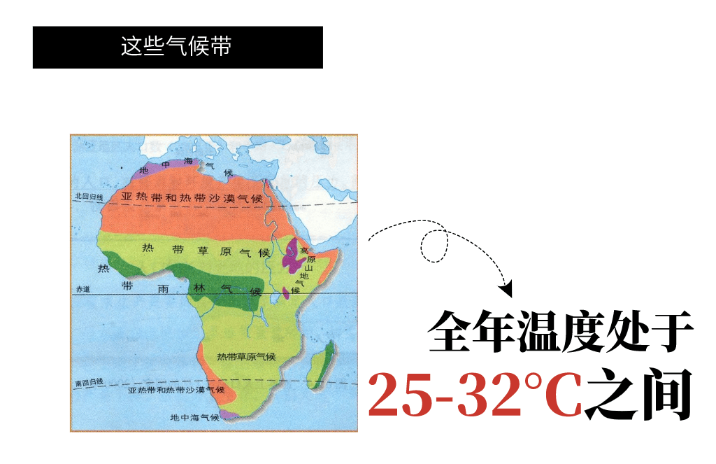 非洲人口密度图片