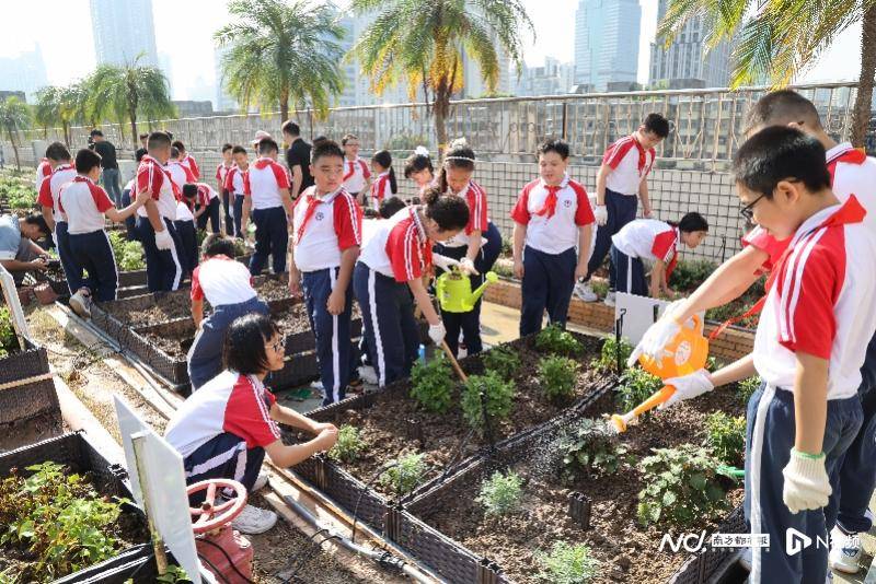 虎牙：一码一肖100香港资料大全-北部大区18名选手晋级全国农民教育培训教师说课大赛总决赛