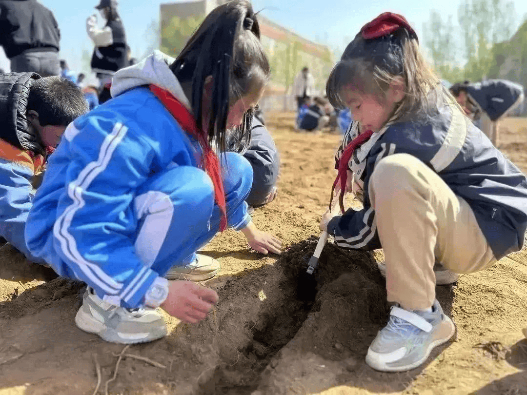 京东：二四六澳门正版免费资料-跨学科赋能更好的教育，国家重点课题成果发布