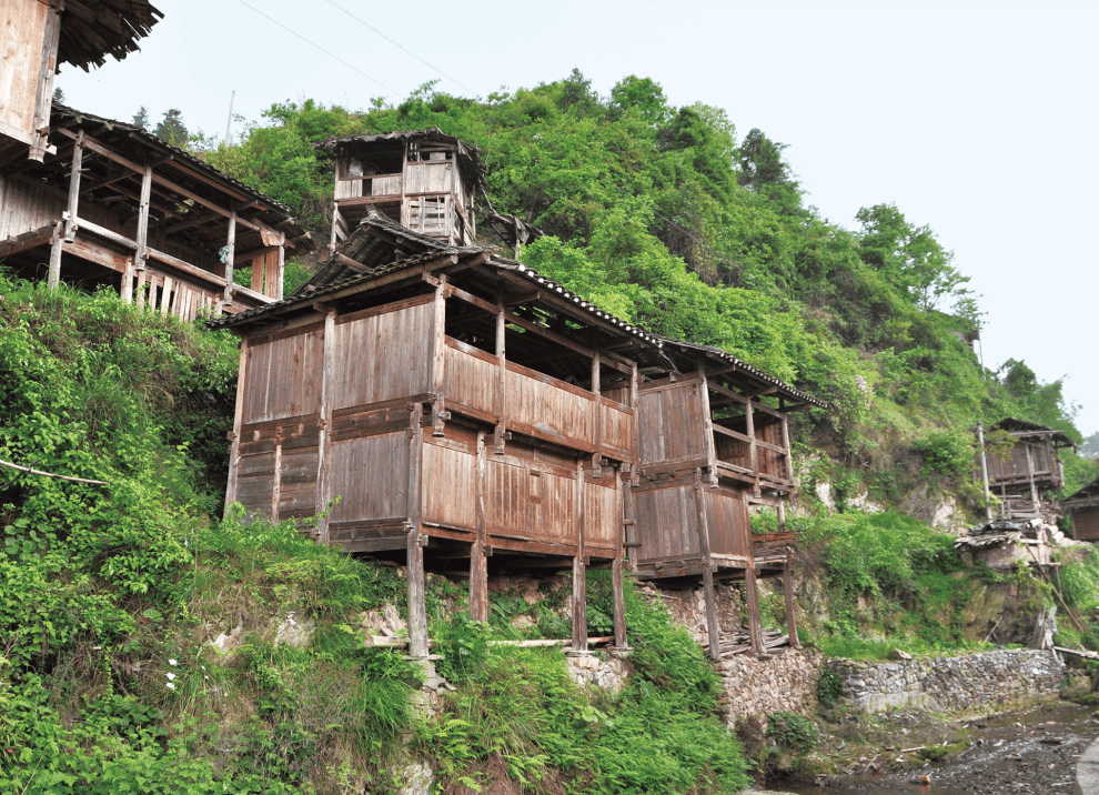 图1:云南红河元阳新街镇牛倮普村蘑菇房(罗德胤摄)图2:云南西双版纳