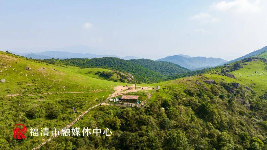 福清这个景区火了!_大姆山_南岭镇_草原