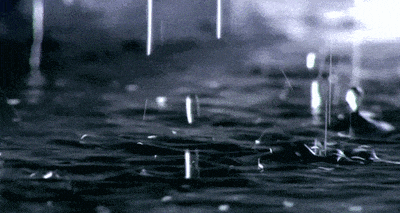 400_213gif 动态图 动图