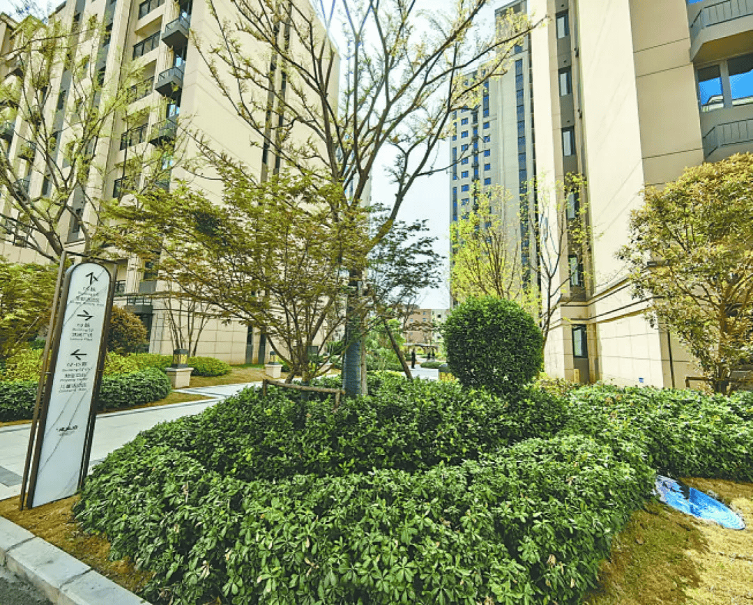 焦作建业府 隐于繁华中的闲适之居