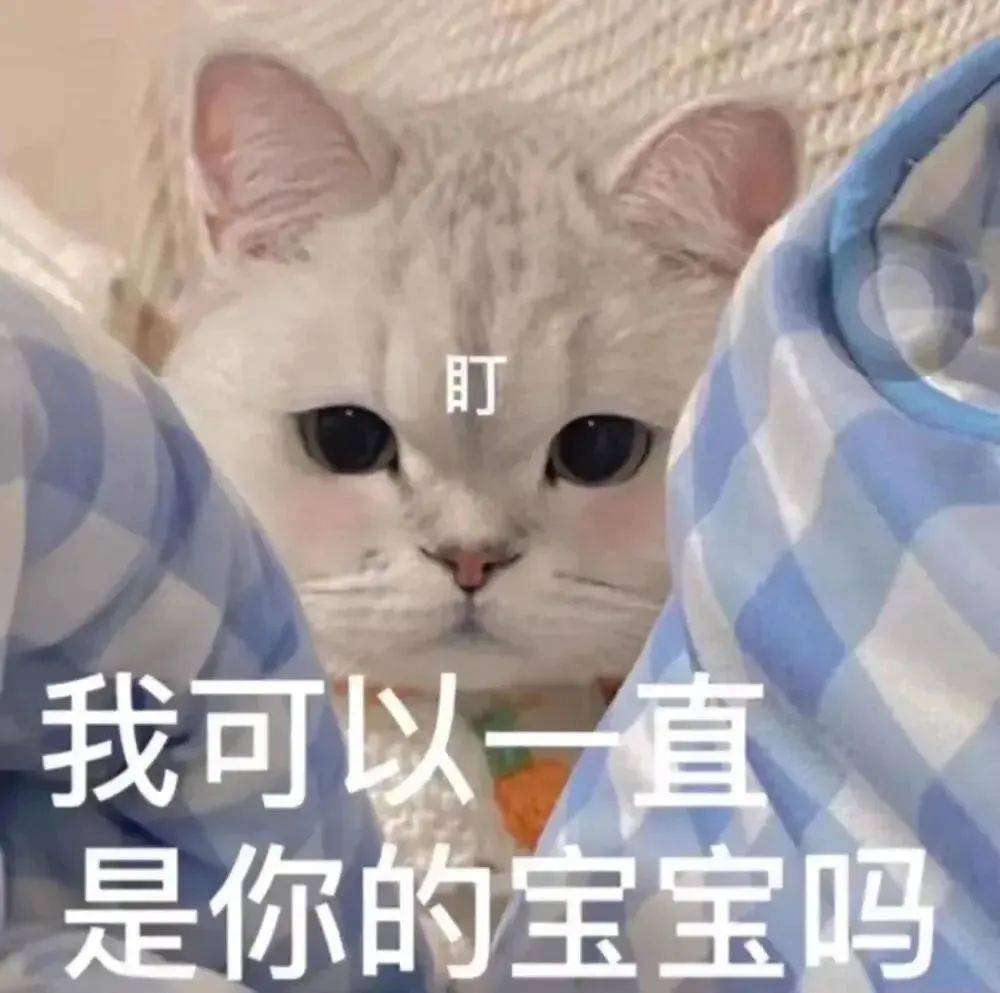 聊天很好用的猫咪表情包