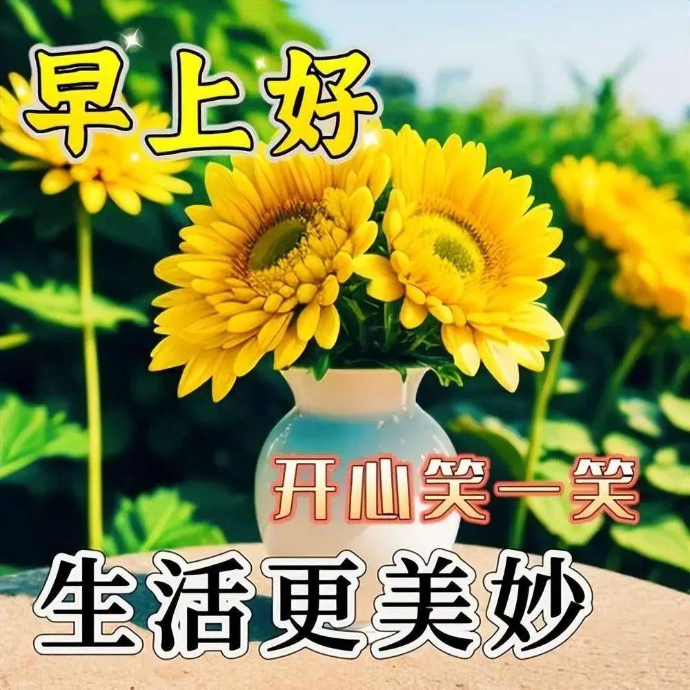 最新中老年早上好表情包